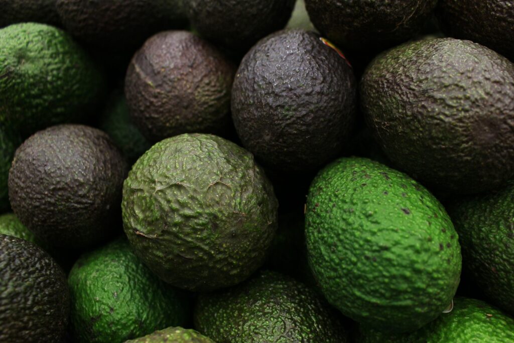 palta hass