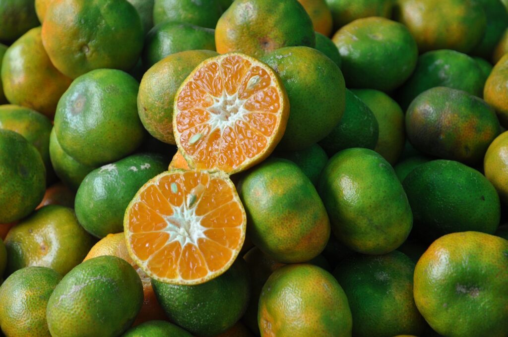 citrus, fruit, food-6989337.jpg