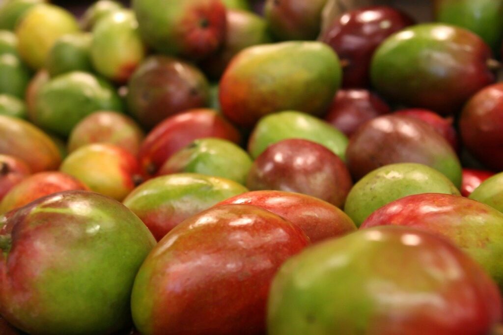 mango, fruit, colorful-1239347.jpg