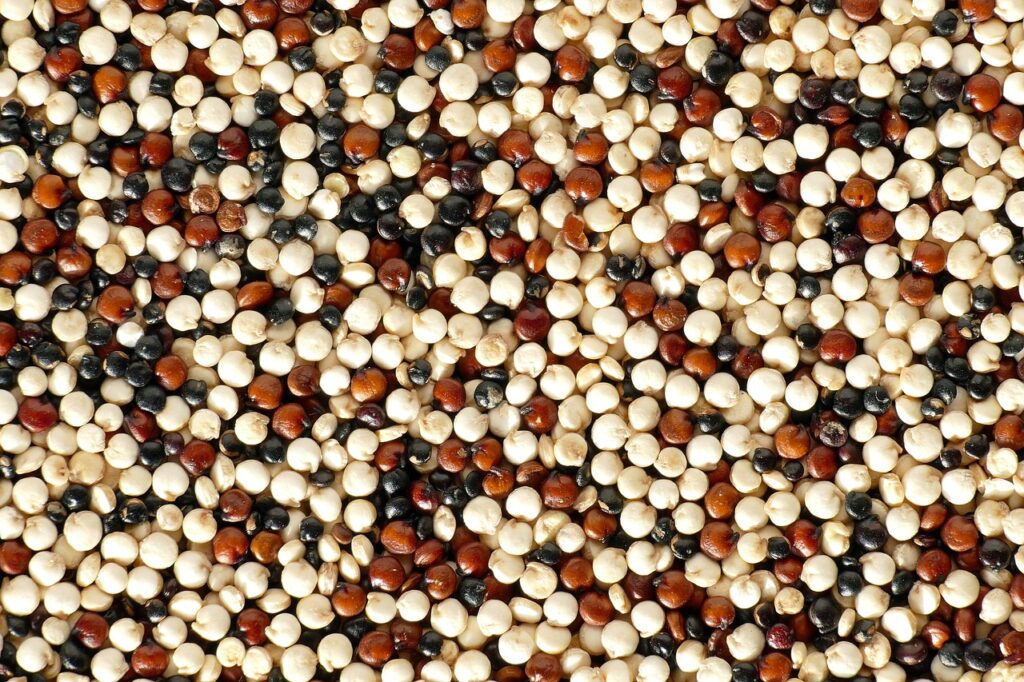 quinoa, multicoloured, vegan-5909474.jpg